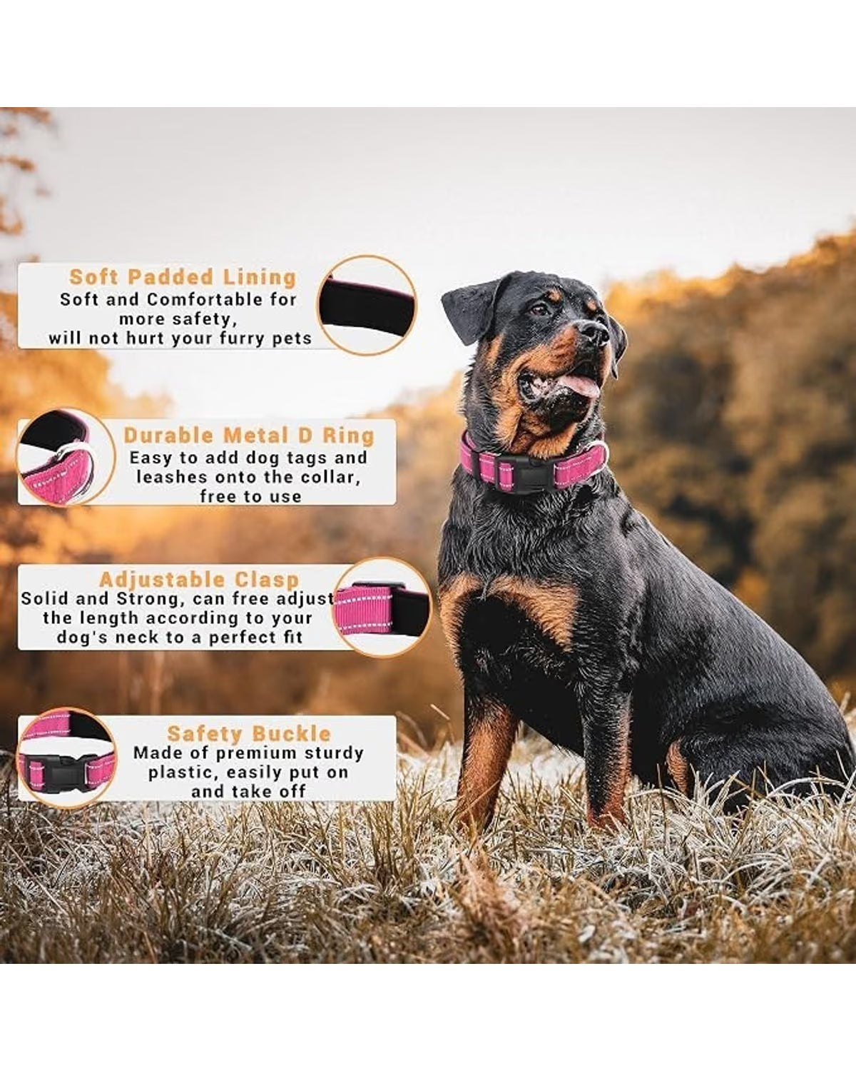 Reflective Dog Collars with Safety Buckle (2-Pack)