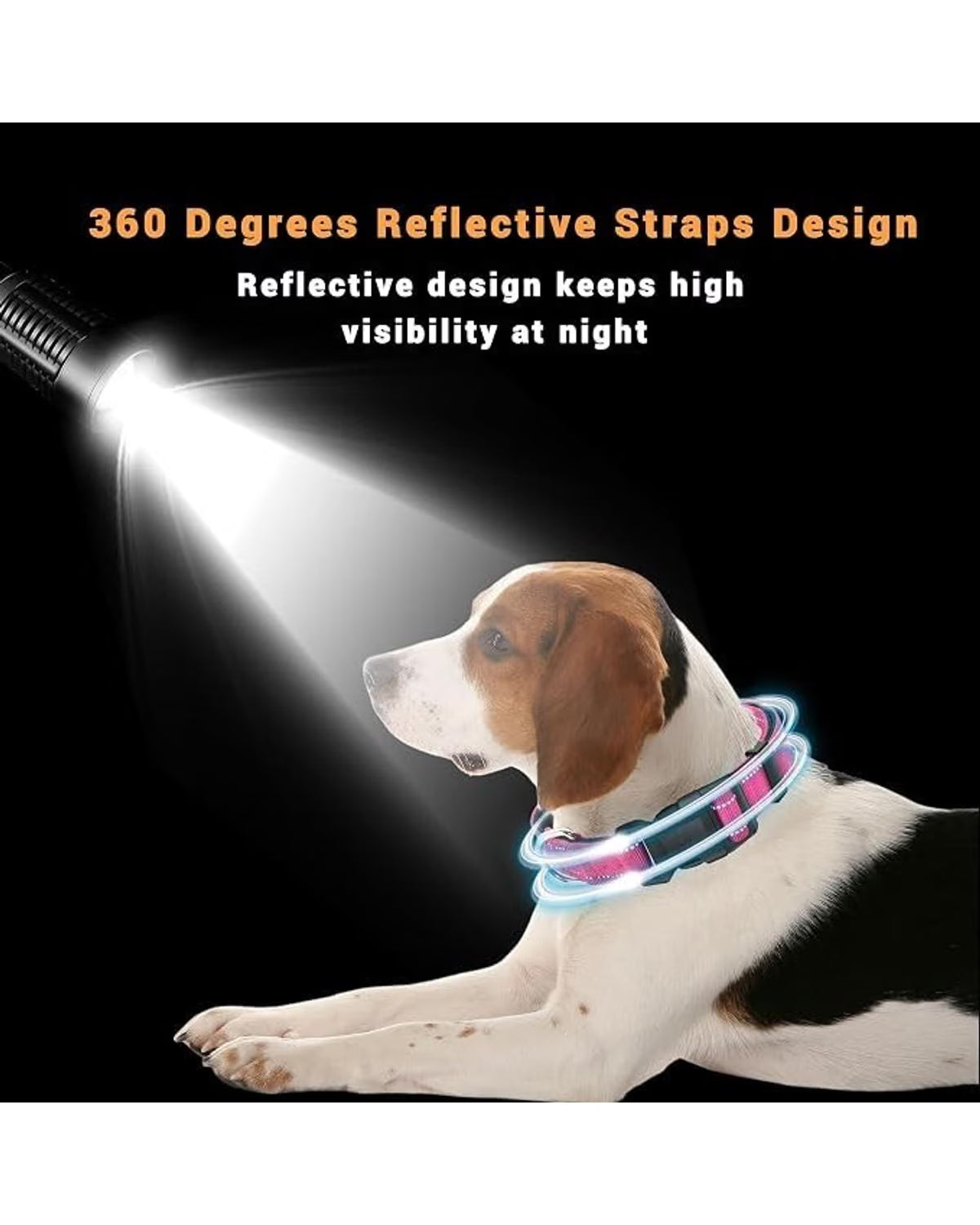 Reflective Dog Collars with Safety Buckle (2-Pack)