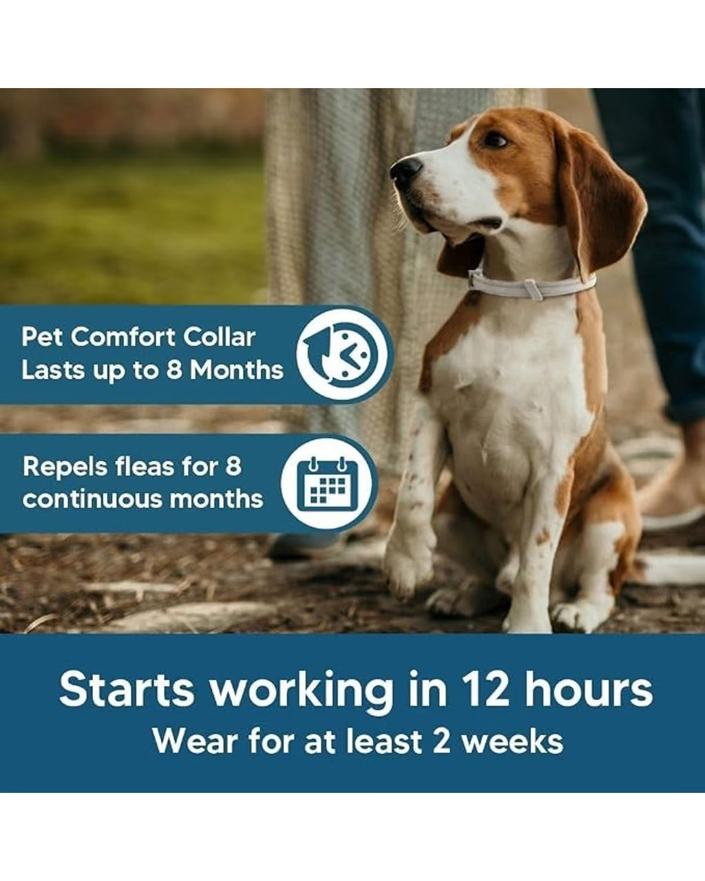Plant-Based Flea & Tick Collars for Small Dogs (2-Pack)